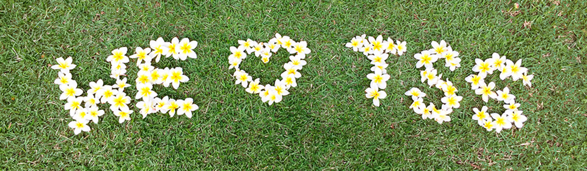 We love TSS spelled out in flowers