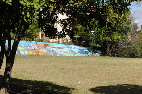 Toowong State School oval